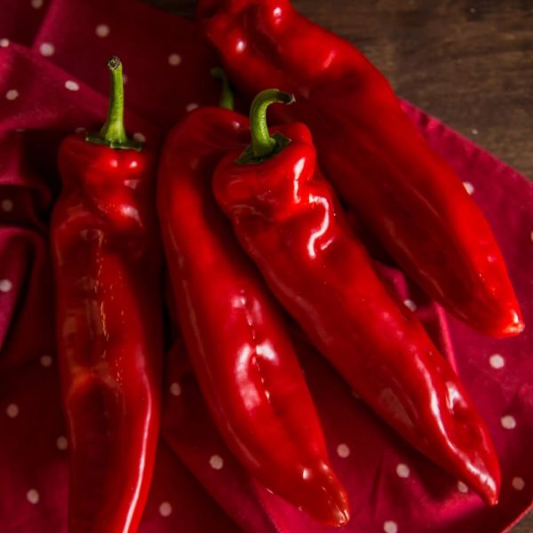Сочный красный перец, бесплатная доставка