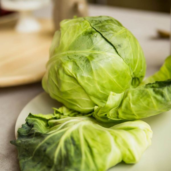 Капуста молодая - отличная основа для любых блюд!