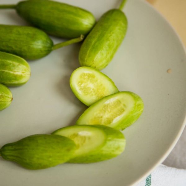 Огурец Бакинский с бесплатной доставкой