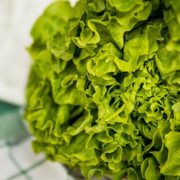 Салат Lollo bionda - почувствуй вкус лета!