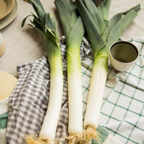 Лук Порей для любых блюд!