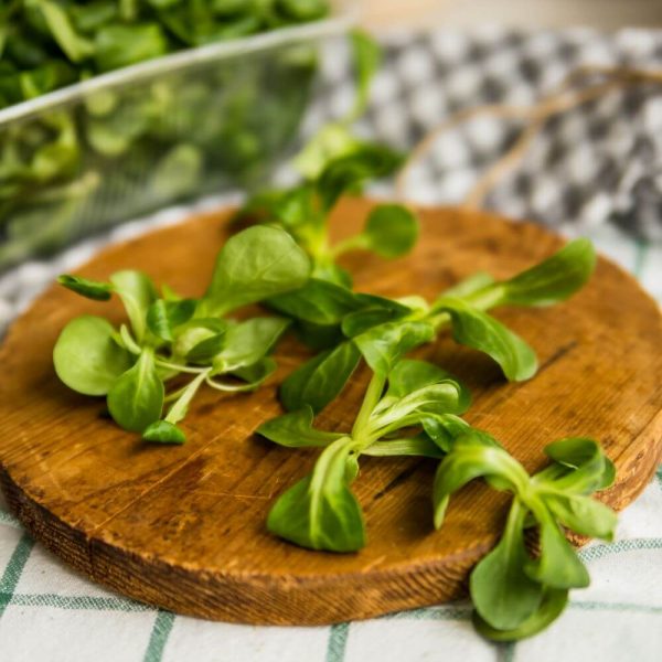 Салат Корн - вкус лета в вашем доме!