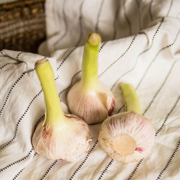 Чеснок молодой - придай вкус любому блюду!
