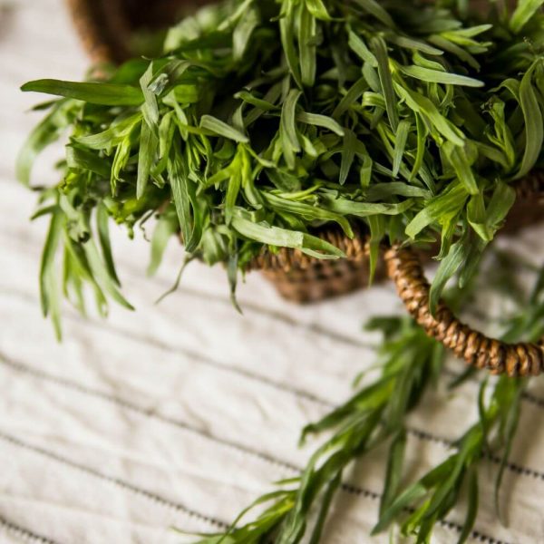 Тархун - придай своим блюдам неповторимый аромат!