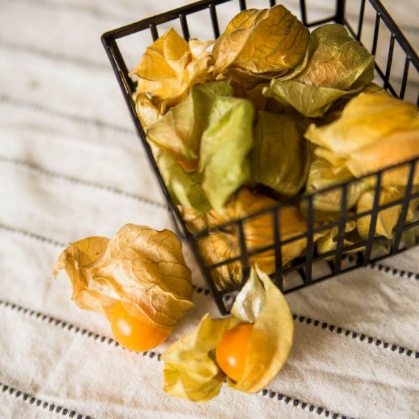 Физалис c бесплатной доставкой в Минске