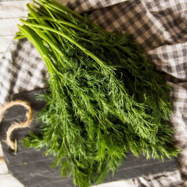 Укроп свежий - вкус лета для любых блюд!