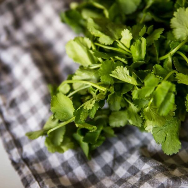 Кинза с бесплатной доставкой день в день