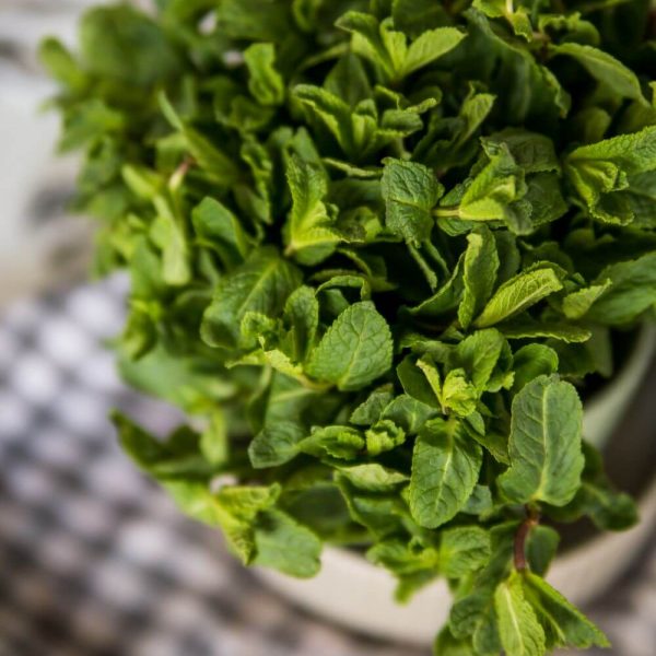 Мята с бесплатной доставкой по Минску