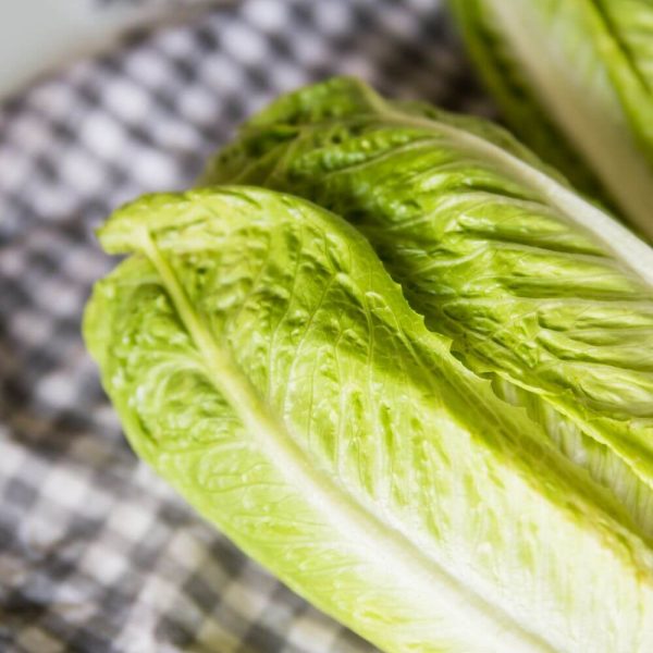 Свежий и хрустящий Салат Ромен