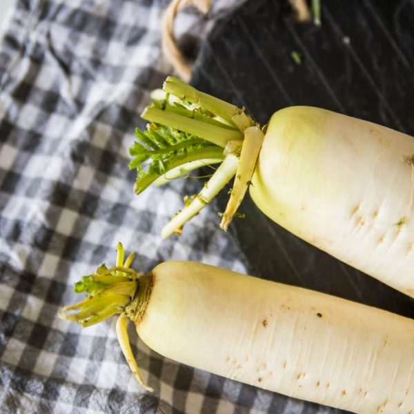 Редис Дайкон с доставкой на сегодня