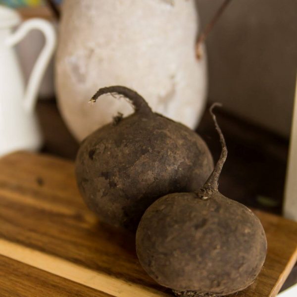 Редька черная с бесплатной доставкой