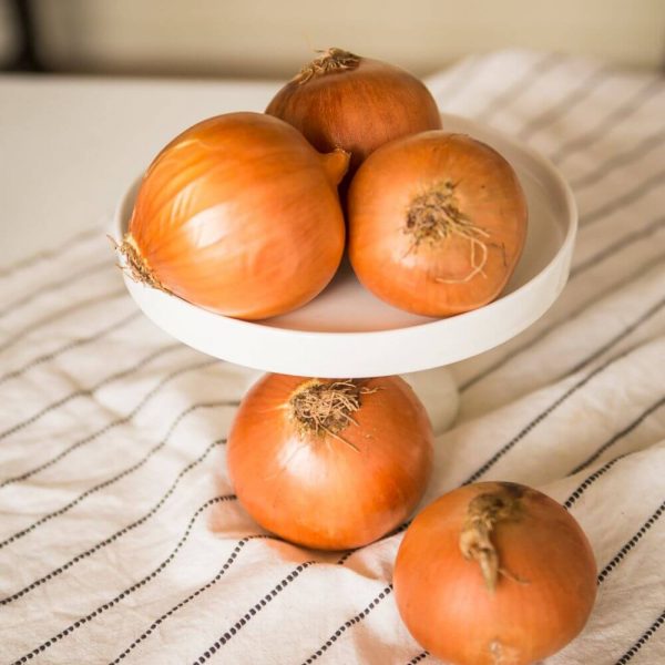 Лук репчатый, свежий и ароматный
