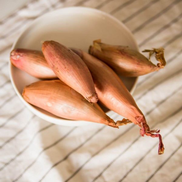 Лук Shallots придаст новый вкус любимым блюдам!