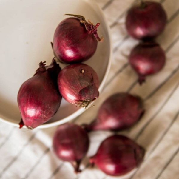 Лук красный, свежий и ароматный