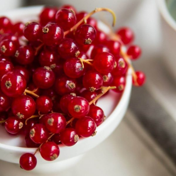 Отборная вкуснейшая Красная смородина