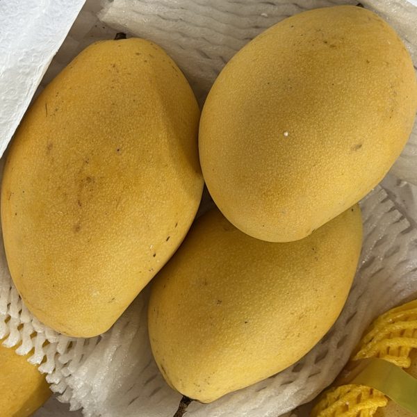 Манго MahaChanok