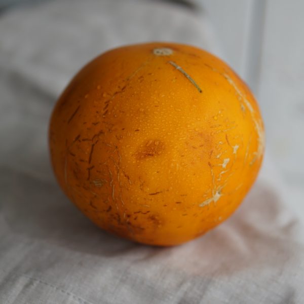 Alternative view of Дыня