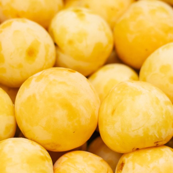 слива желтая купить в Минске