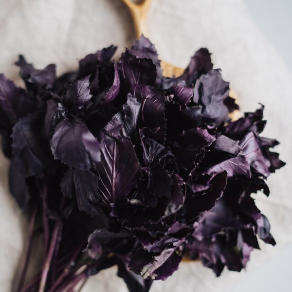 свежий базилик