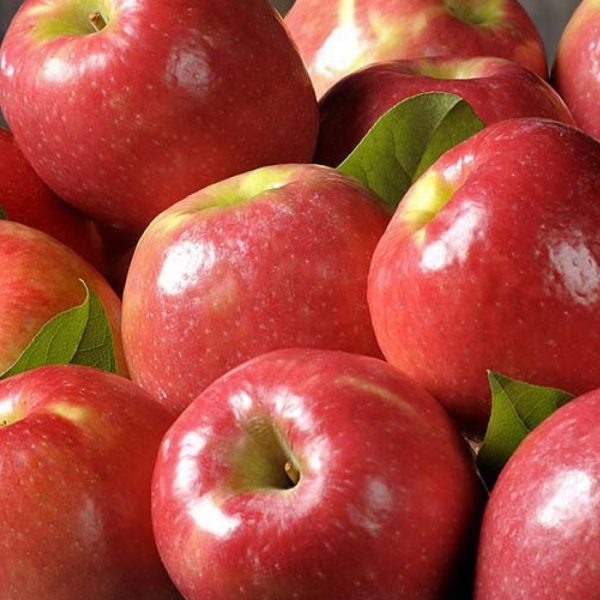 Яблоко Pink Lady