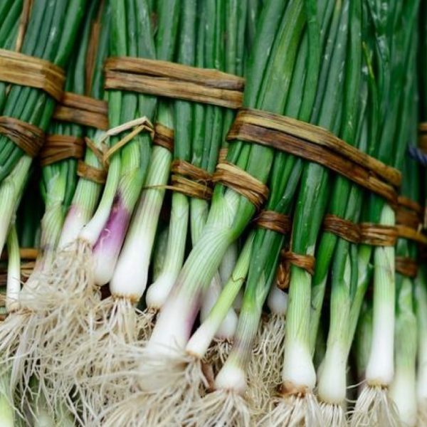 Alternative view of Лук перо Армянский