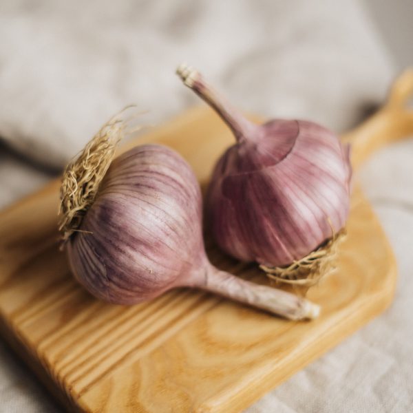 узбекский чеснок