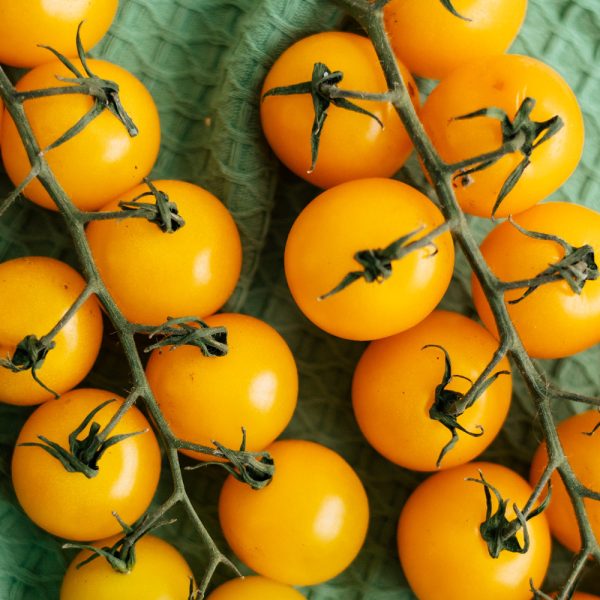 черри желтое на ветке