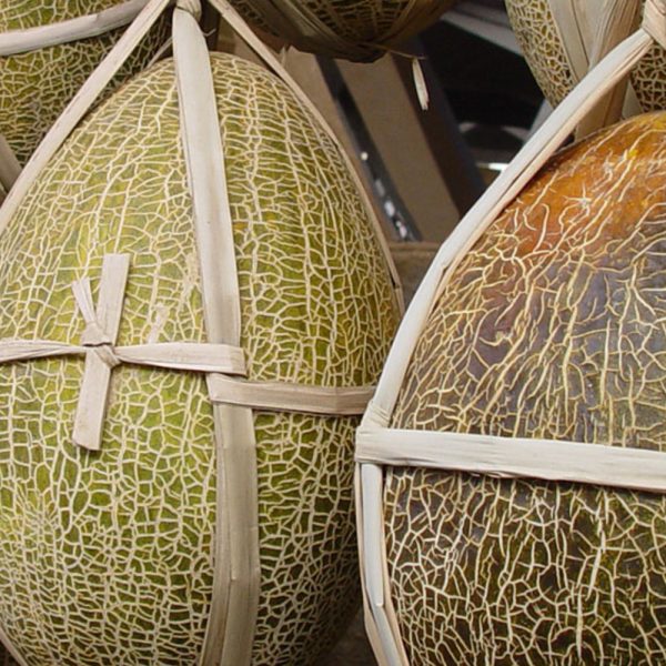 сладкая дыня