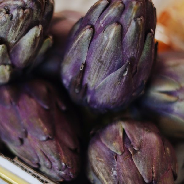 купить артишок