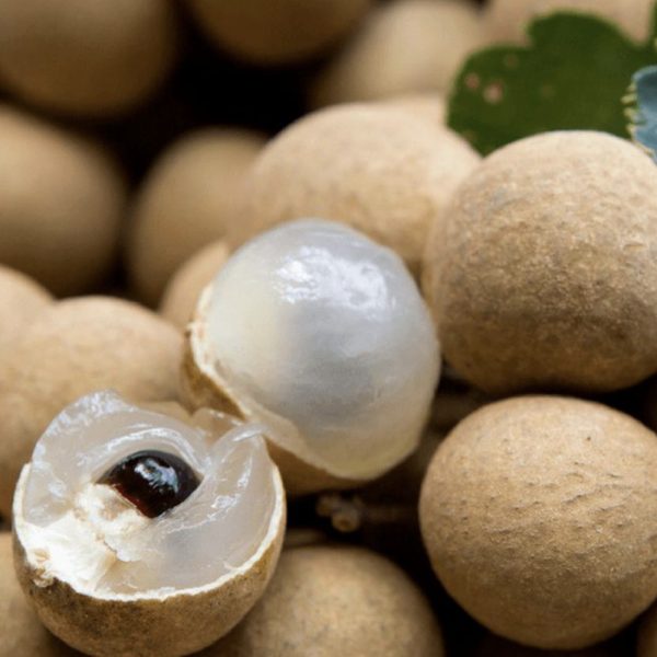 экзотика купить в Минске