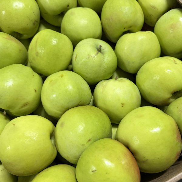 Яблоко Антоновка